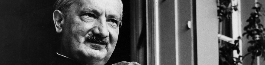Martin Heidegger, 1965